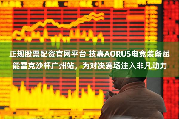 正规股票配资官网平台 技嘉AORUS电竞装备赋能雷克沙杯广州站，为对决赛场注入非凡动力